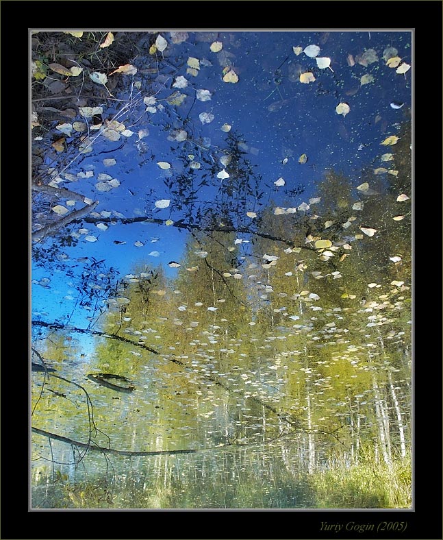 фото "Осеннее небо" метки: пейзаж, лес, осень