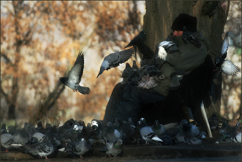 photo "The keeper of the bird's secrets" tags: genre, 