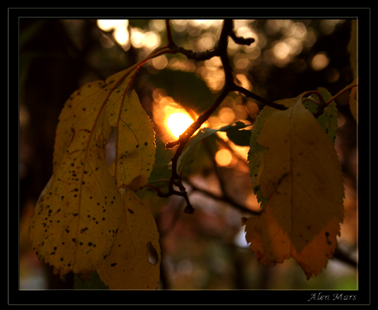 photo "Autumn fragments.4" tags: nature, landscape, autumn