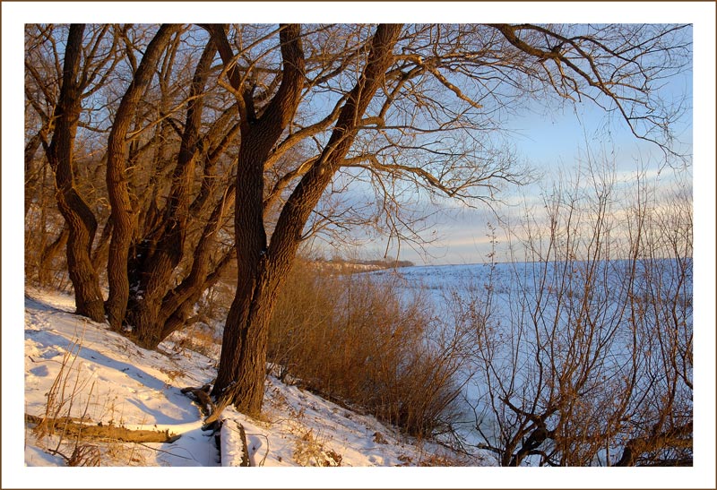 фото "The Shortest Day" метки: пейзаж, зима