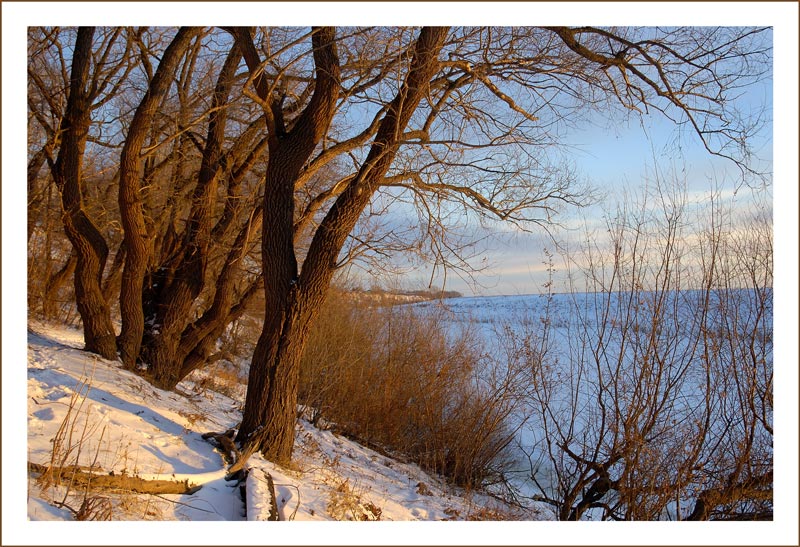 photo "The Shortest Day" tags: landscape, winter