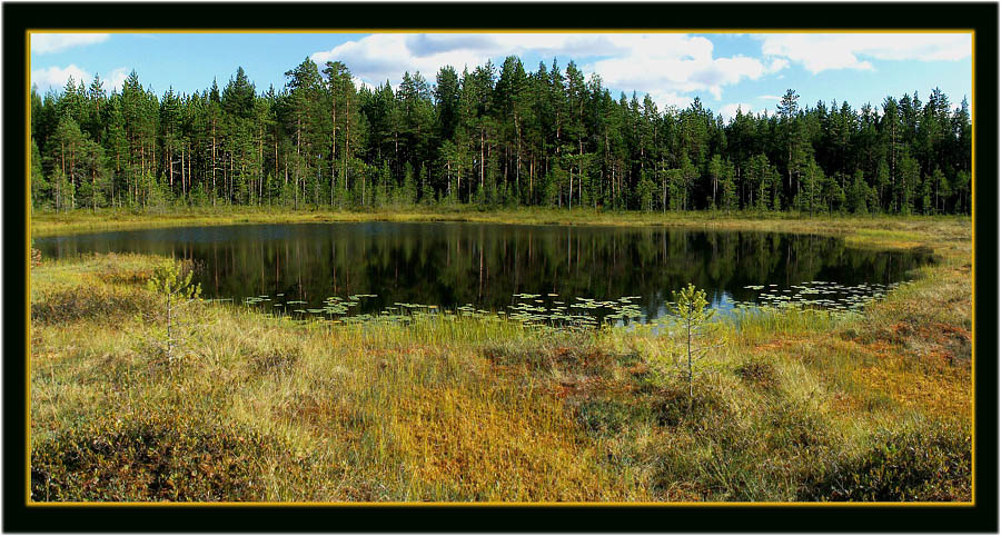 photo "***" tags: landscape, panoramic, forest