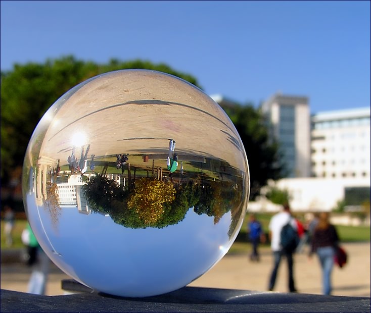 photo ""TECHNION". Haifa. December. (2)" tags: landscape, abstract, autumn