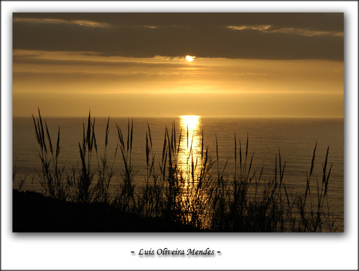 photo "- beyond my thoughts -" tags: landscape, water