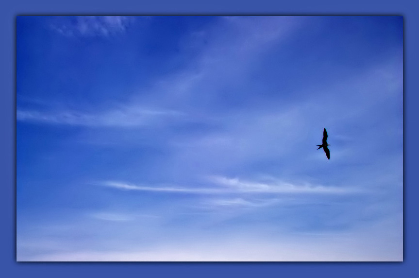 photo "Loneliness or freedom?" tags: landscape, clouds