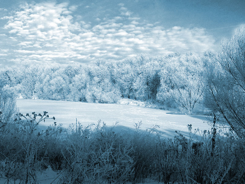 фото "Зимняя сказка" метки: пейзаж, зима