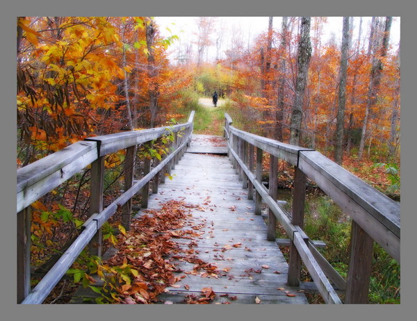 photo "Bridge" tags: landscape, autumn