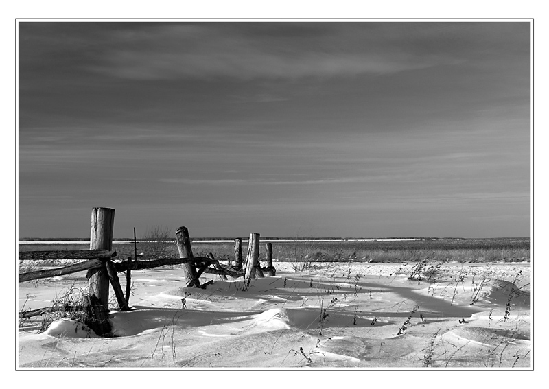 фото "Landscape after snowstorm" метки: пейзаж, черно-белые, зима