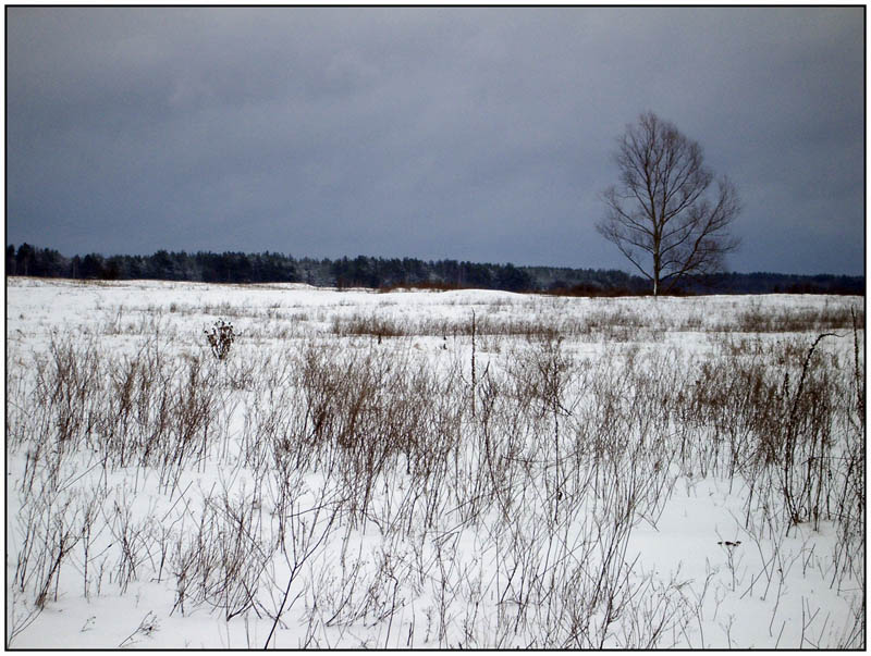 фото "snow field" метки: пейзаж, зима