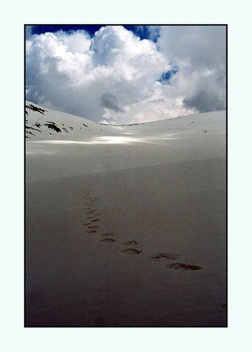фото "Tha Mystery of the Yeti" метки: пейзаж, 