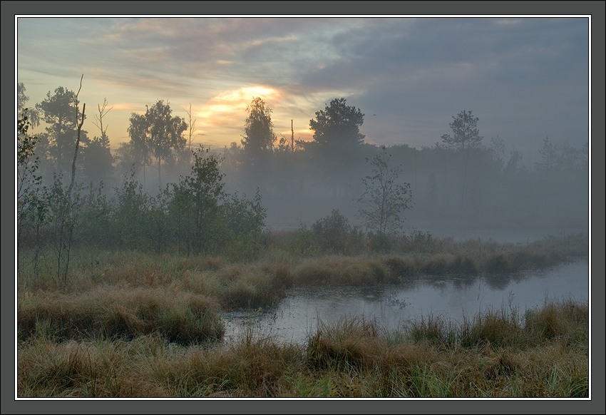 photo "Early morning foggy swamp picture" tags: landscape, autumn, sunset