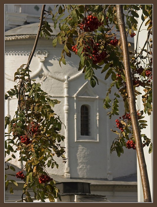 photo "Mountain ash" tags: architecture, landscape, 