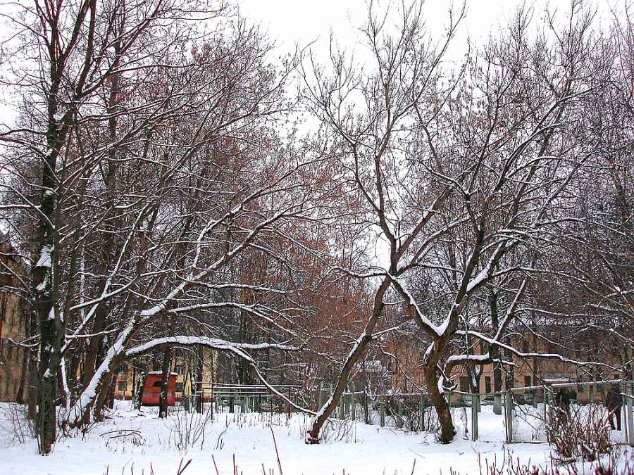 фото "Дворы маленького города" метки: пейзаж, зима