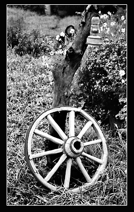 photo "Forgotten wheel" tags: genre, black&white, 