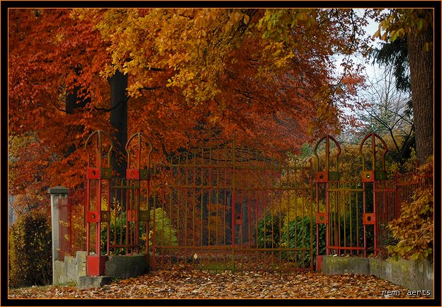 photo "autumn in red" tags: landscape, nature, autumn, flowers