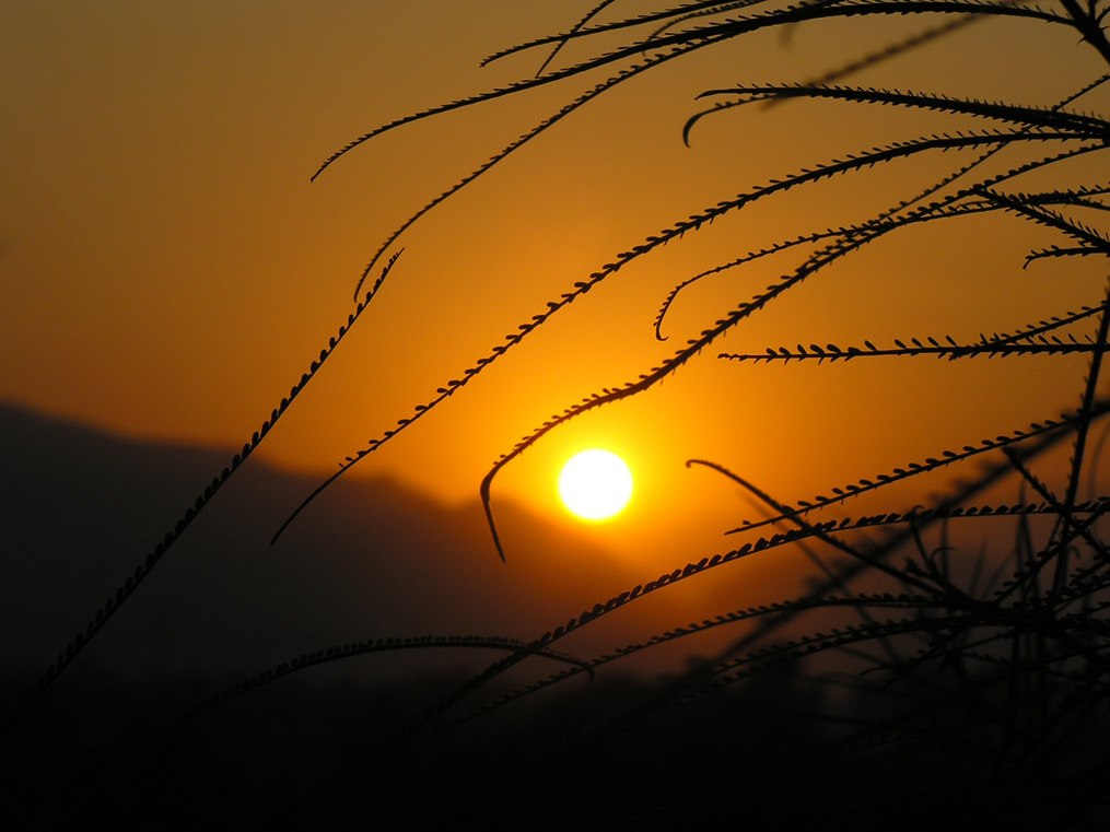 photo "Desert Sunset" tags: landscape, sunset