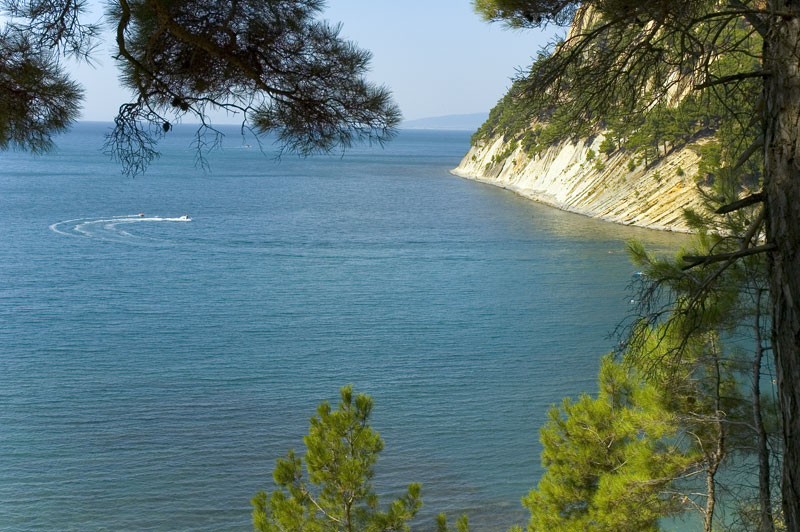 photo "Black sea" tags: landscape, forest, water
