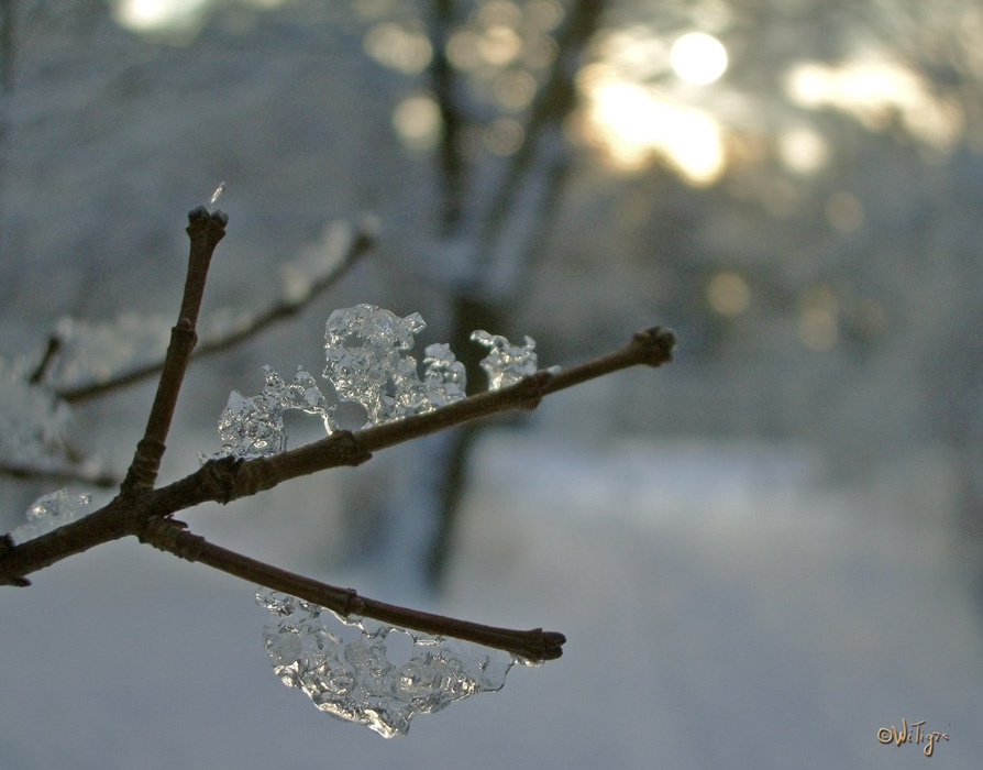 фото "Забавные ледяные фигурки" метки: пейзаж, макро и крупный план, зима