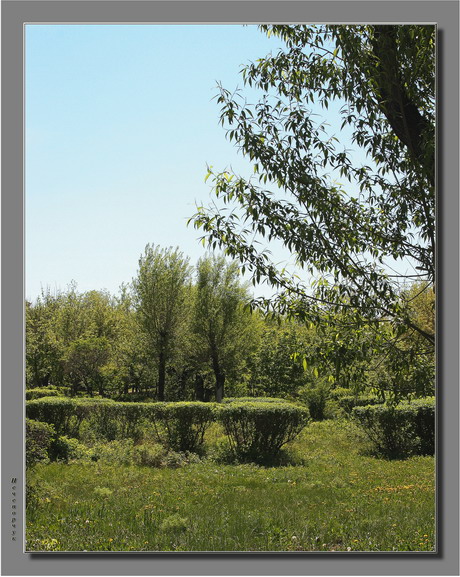 photo "It is a little about summer..." tags: landscape, nature, summer