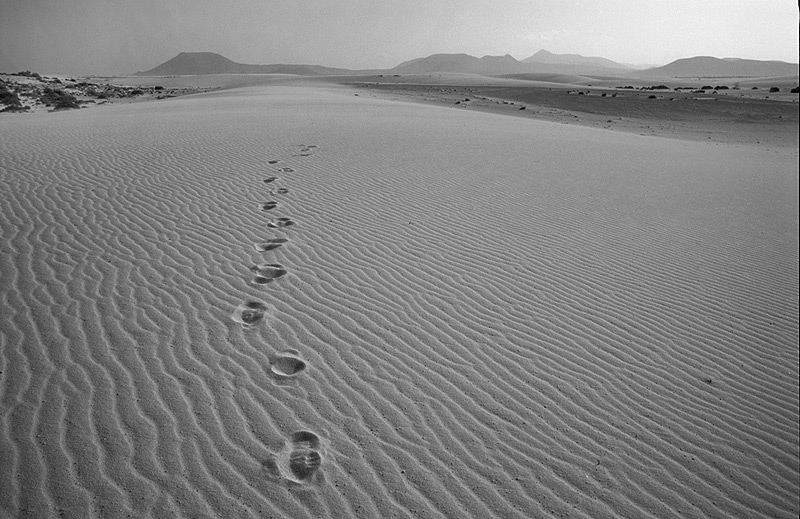 photo "Steps in anywhere" tags: landscape, black&white, summer