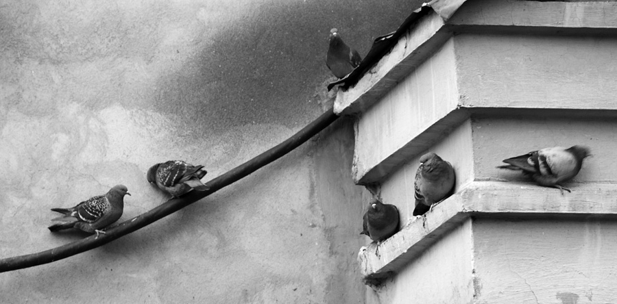 photo "AT THE WARM WALL" tags: genre, black&white, 