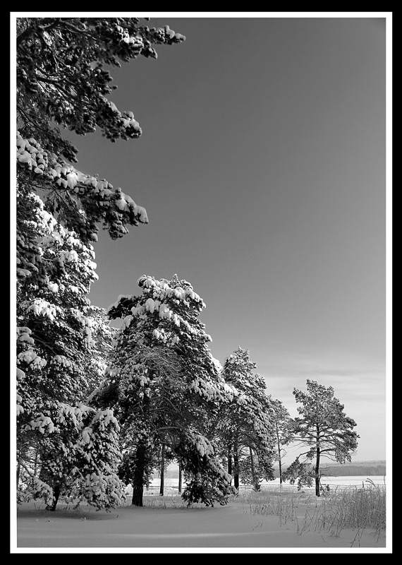 фото "Siberian Greatness" метки: черно-белые, пейзаж, зима