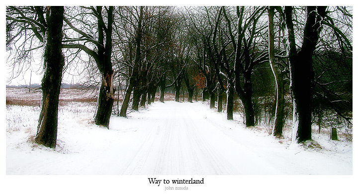 photo "Way to winterland" tags: landscape, travel, winter