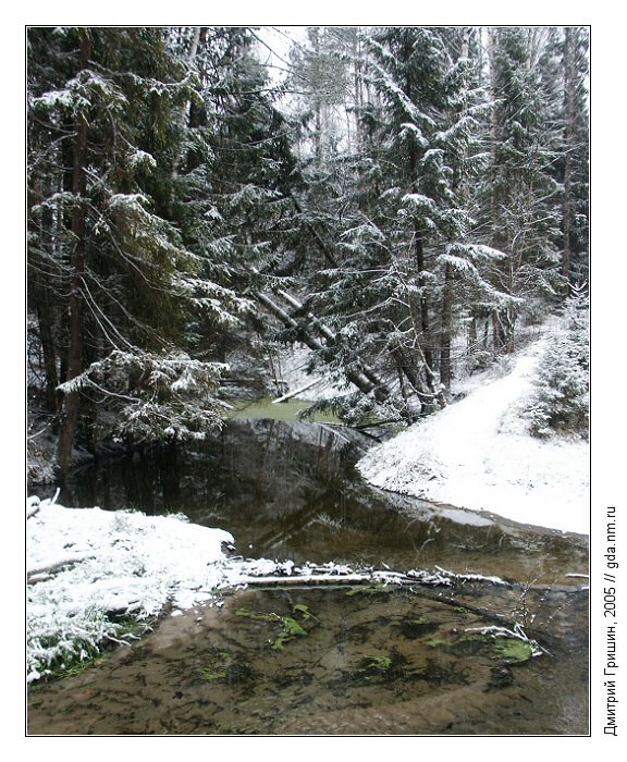 photo "The conservation zone" tags: landscape, forest, winter