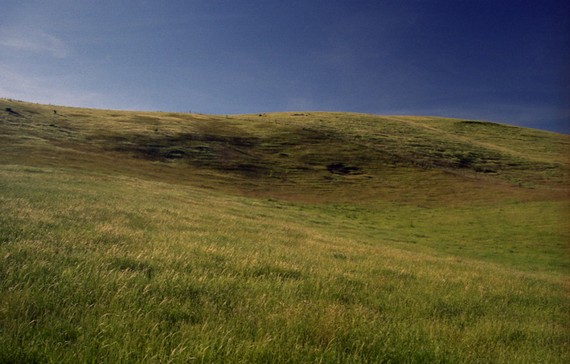 photo "Complacency" tags: landscape, travel, Australia, summer