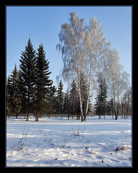 фото "Утро" метки: пейзаж, зима, лес