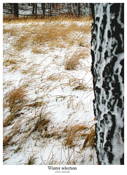 фото "Winter selection" метки: пейзаж, зима