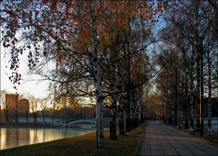 фото "Последний луч" метки: пейзаж, осень