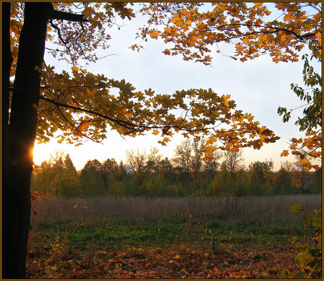 photo "Recollecting Autumn!" tags: landscape, autumn, sunset