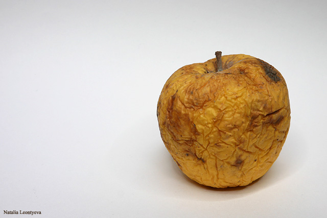 photo "Old Apple" tags: still life, macro and close-up, 