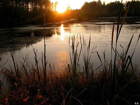 photo "***" tags: landscape, sunset, water