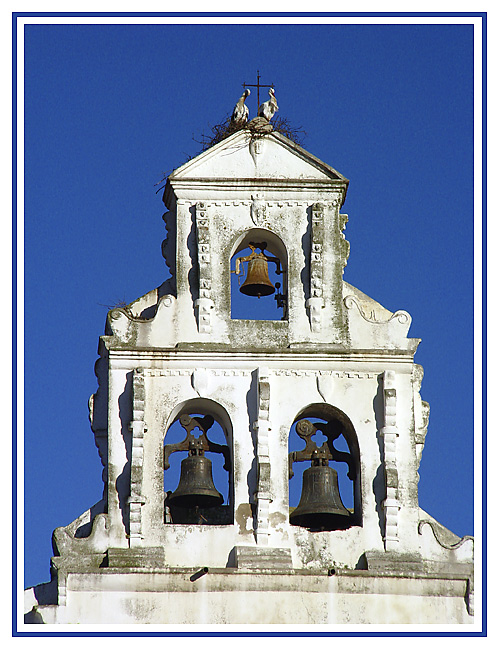 photo "Bell tower with storks" tags: architecture, nature, landscape, wild animals