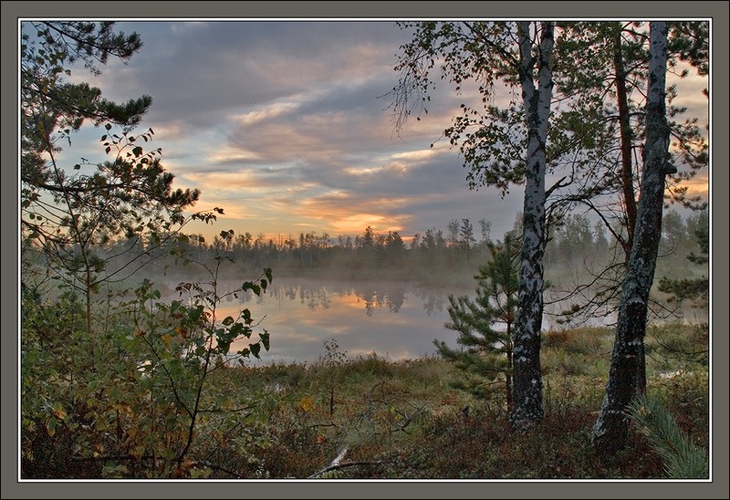 photo "Sunrise foggy swamp picture" tags: landscape, autumn, sunset