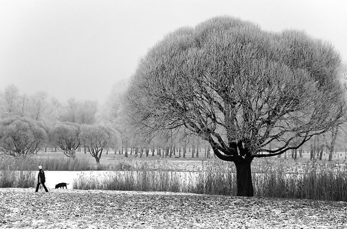 photo "***" tags: landscape, black&white, winter