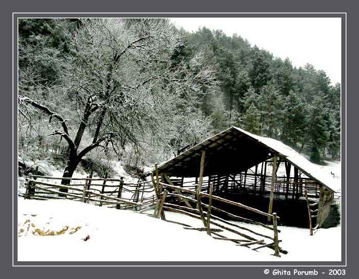 photo "Sheepfold" tags: landscape, winter