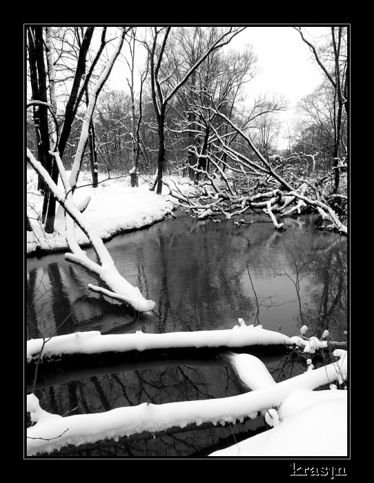 фото "Холодная вода" метки: пейзаж, черно-белые, зима