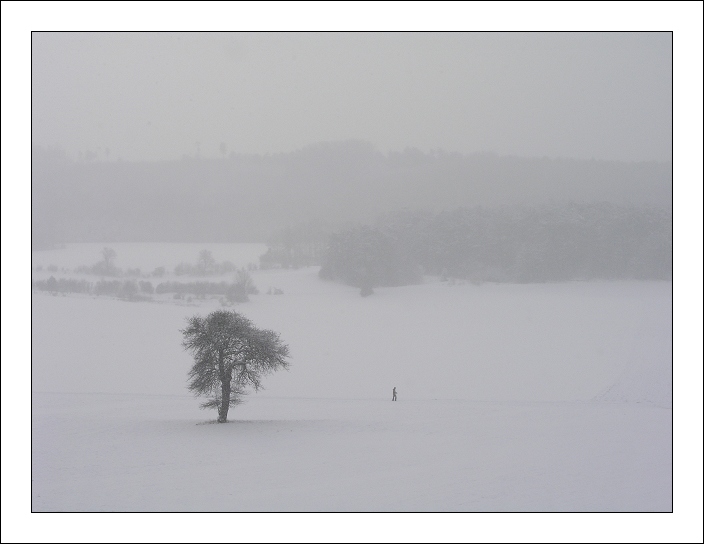 фото "Lonely" метки: , 