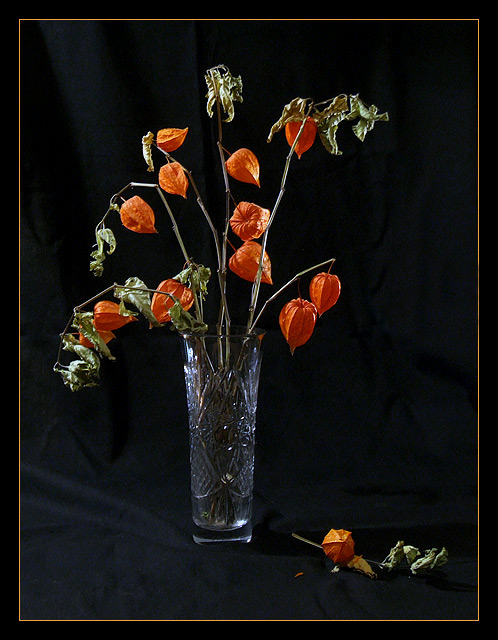 photo "***" tags: still life, 