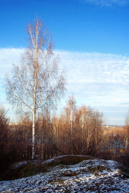 фото "Октябрь" метки: пейзаж, лес, осень