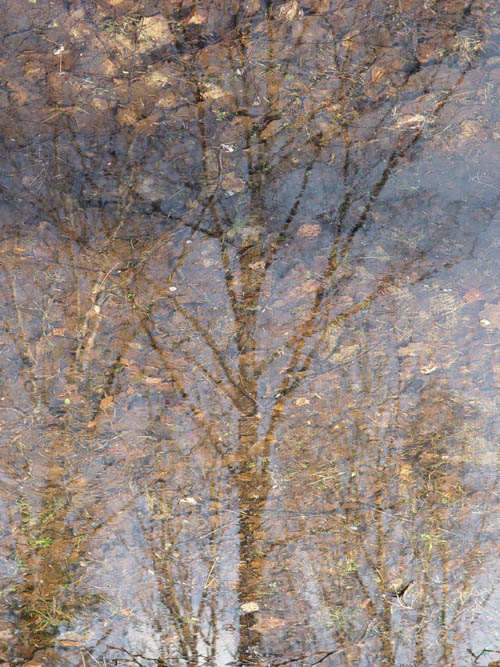 photo "***" tags: landscape, autumn