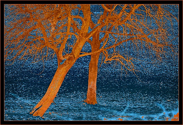 photo "winter dreamworld" tags: landscape, nature, winter
