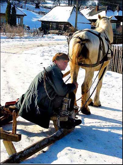 фото "Sledge" метки: репортаж, 