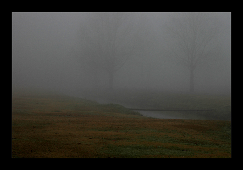 photo "Foggy morning" tags: , 