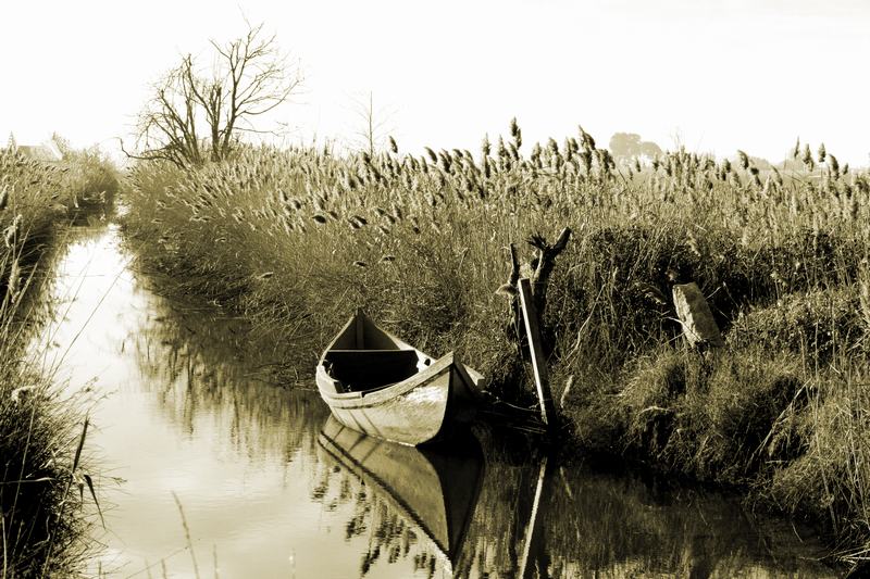 photo "***" tags: landscape, water