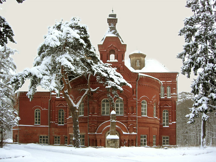 photo "castle" tags: architecture, landscape, winter