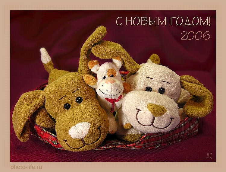 photo "Happy new Year!" tags: misc., 